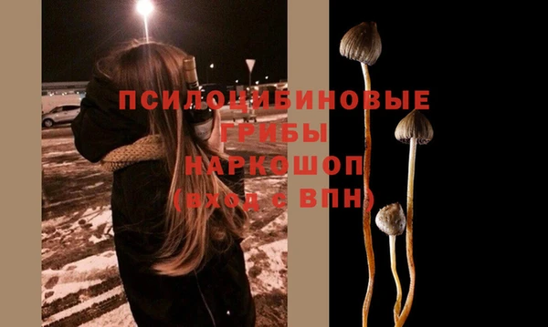 ПСИЛОЦИБИНОВЫЕ ГРИБЫ Алексеевка