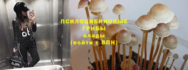ГАЛЛЮЦИНОГЕННЫЕ ГРИБЫ Алзамай