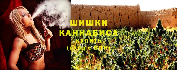 ПСИЛОЦИБИНОВЫЕ ГРИБЫ Алексеевка