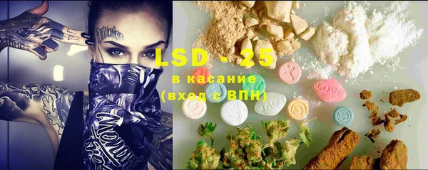 ПСИЛОЦИБИНОВЫЕ ГРИБЫ Алексеевка