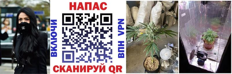 Марихуана тримм  купить наркотики цена  OMG вход  Кемь 